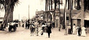 2785- Alger - Jardin d'essai - Oasis des Palmiers2